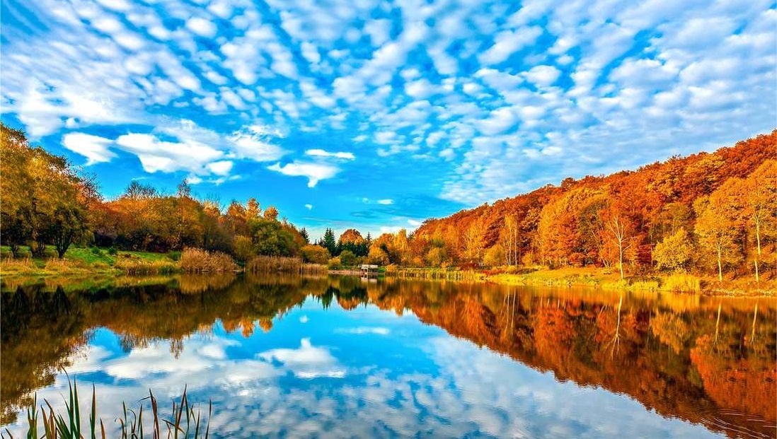 Autumn trees under a blue sky reflecting over a lake